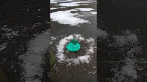 Зимняя рыбалка на жерлицы. Первый лёд 2018-2019. Троицкое. Клязьминское водохранилище.