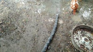 Насос для колодца из помпы Ваз своими руками, из того что было под руками. Помпа 2106