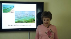 Козина Е.А.  Биологическая продуктивность и биомасса водоемов