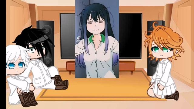 tpn react to fem y/n °part 1° tpn trio x fem y/n смотреть онлайн