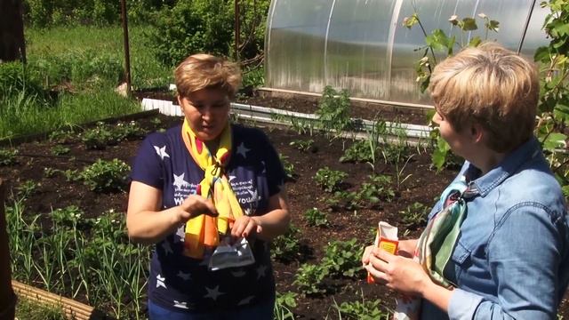 Борьба с муравьями. Самый простой способ смотреть онлайн