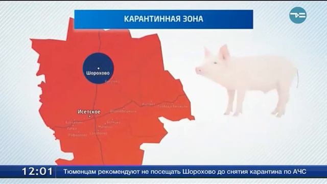 Карантинная зона