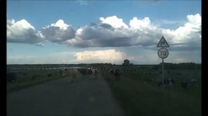 Село Чкаловка, Марксовский район.