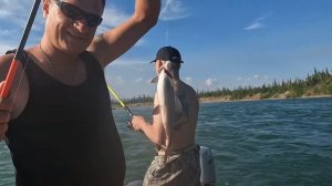 На Талую за Хариусом. Июль 2022