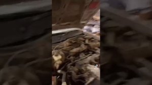 Нексия пропуски зажигания