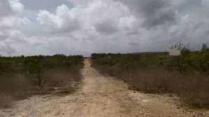 Bonaire - Shortcut Road from Karpata back toward Kralendijk