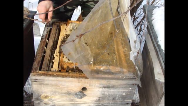 Февраль Осмотр семей Минус одна смотреть онлайн