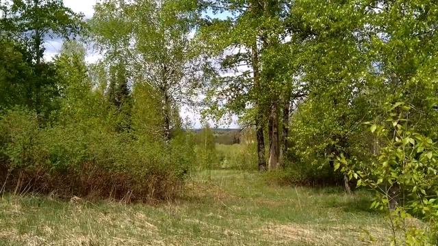 Городище "Иднакар" весной. смотреть онлайн