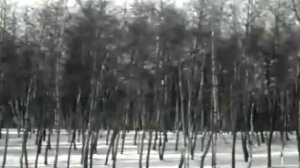 Нина Бродская Русская зима