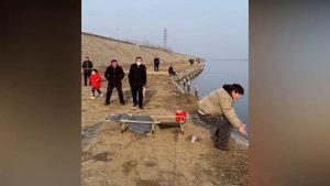 22 НЕЛЕПЫХ СЛУЧАЕВ НА РЫБАЛКЕ, СНЯТЫХ НА КАМЕРУ Unexpected fishing incidents