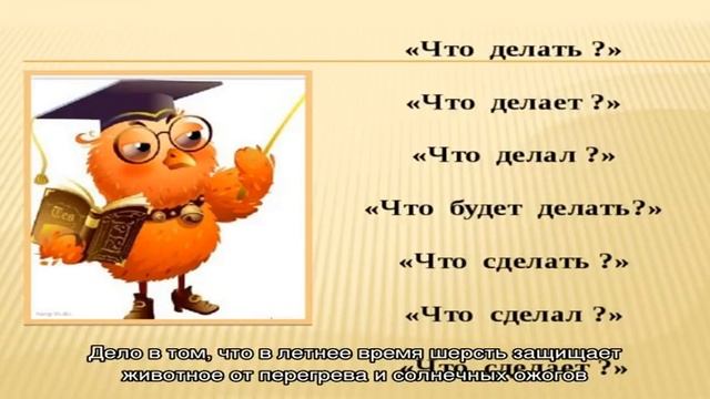 Собака сильно линяет: что делать смотреть онлайн