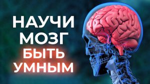 Как прокачать мозг? / Как стать умнее и улучшить работу мозга?