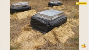 Блок №9. Зимовка пчел на промышленной пасеке