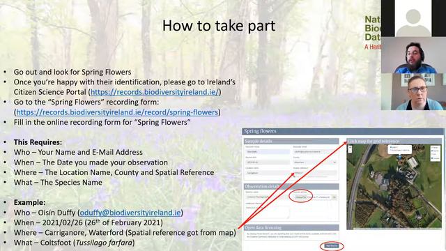 Learn how to spot spring flowers with Oisín Duffy from the National Biodiversity Data Centre