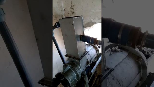 Работа сепаратора  для свинного навоза.
