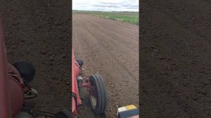 Фрезеровка поля трактор Т-25 с фрезой 1,40 метра