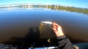 Рыбалка на реке Сухона. Конец лета 2021...