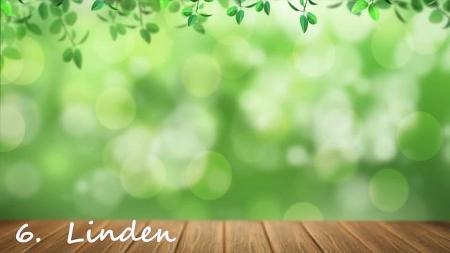 Top 10 Stress Relieving Teas смотреть онлайн