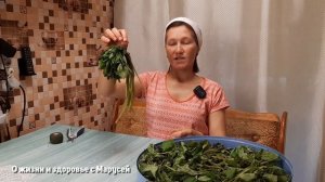 ТРАВА ДЛЯ КРАСИВЫХ ВОЛОС ОЧИЩЕНИЯ КОЖИ/ЗАГОТОВКА СНЫТИ@natureMarusya