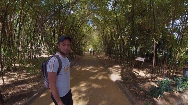 КАНАРСКИЕ ПАРКИ | ВЫХОДИМ ИЗ КАРАНТИНА | ТЕНЕРИФЕ СЕГОДНЯ смотреть онлайн