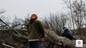 Бензопила Тайга 214 & Мега горіх частина ✓3