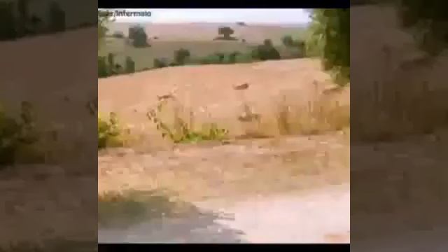 Внимательность и здравый смысл в переговорах смотреть онлайн