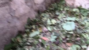 КОМПОСТНАЯ ЯМА НА УЧАСТКЕ.
