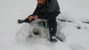 КАК ПОЙМАТЬ ПЛОТВУ В ГЛУХОЗИМЬЕ НА МОРМЫШКУ ???