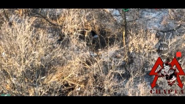 Батальон «Спарта» уничтожает врага дронами Mavic смотреть онлайн