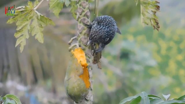 Best zooming Camera | Nikon b500 in 2022 смотреть онлайн