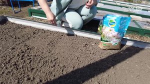 Вы сажаете лук севок неправильно, если у вас нет урожая. Как посадить лук-севок весной без проблем