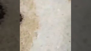 Чистка ковров