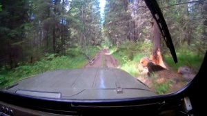 На УАЗе за грибами.