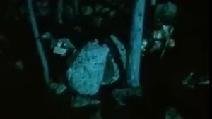 Не прячьте ваши денежки...