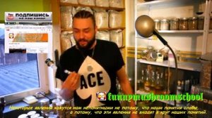 Мицелий, ЛЕВОМИЦЕТИН, дозировка в селективной среде