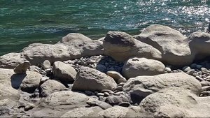 Долина аммонитов в Адыгее