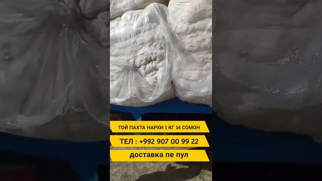 Той пахта пахта курпача учун