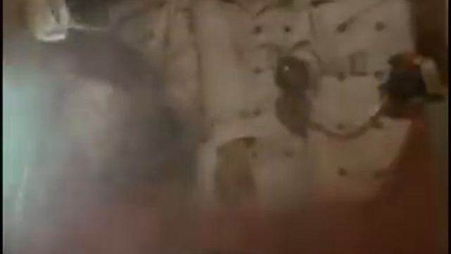 dog police смотреть онлайн