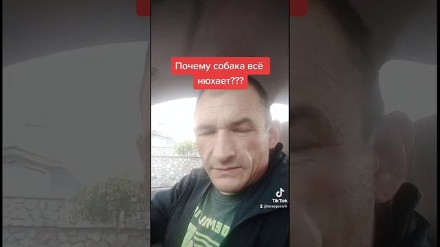 Почему собака всё нюхает??? #дрессировкасобакКременчуг #собачийнюх