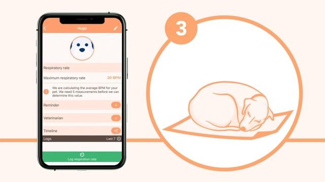 Мобилно приложение MyPetHeart2Heart от Boehringer Ingelheim смотреть онлайн