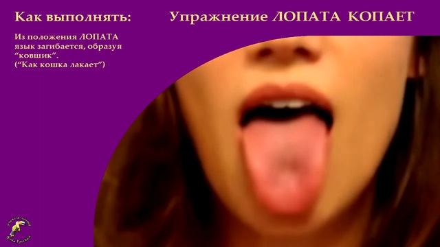 Артикуляционная гимнастика часть 1а