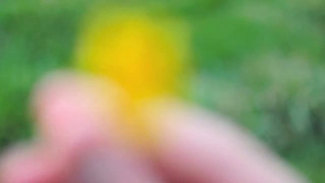 Nikon D90 D-Movie Test [HD] смотреть онлайн