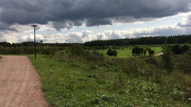 Красота Мещерского парка. смотреть онлайн