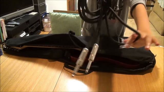 初心者にもおすすめのIbanezのエレキギターを購入 смотреть онлайн