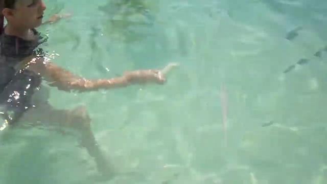 Рыбы обожают бананы. Не верите? смотреть онлайн