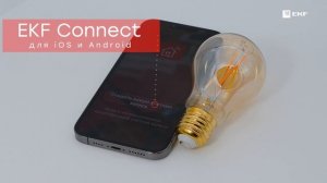 Умная филаментная лампа EKF Connect E27 Wi-Fi slwf-e27-fil