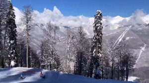 Горные лыжи в Сочи(Трасса реликтовый лес)