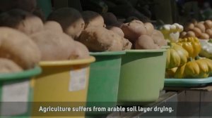 Влияние изменения климата на сельское хозяйство в Беларуси