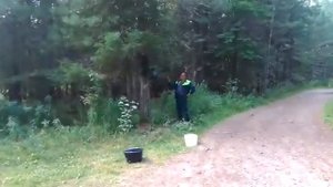 Работа шишкотряса " КЕДР 1 М 2".