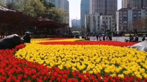 Shanghai Natural history museum park